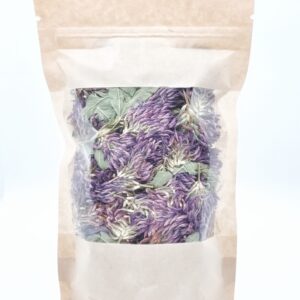 Dobilas raudonasis (malti žiedai) Trifolium pratense